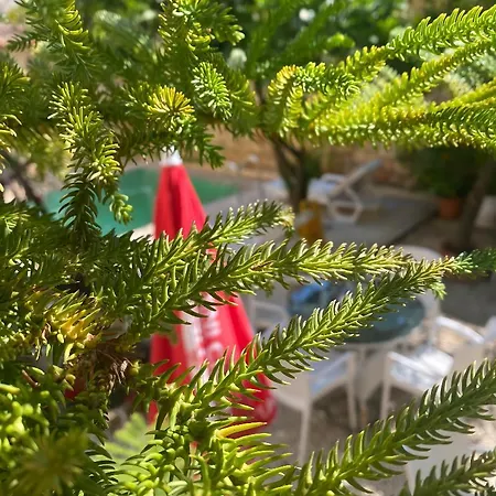 Konak Hotel Kaleici Hotel Antalya